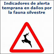 Los derechos de la caza
