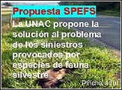 Propuesta SPEFS